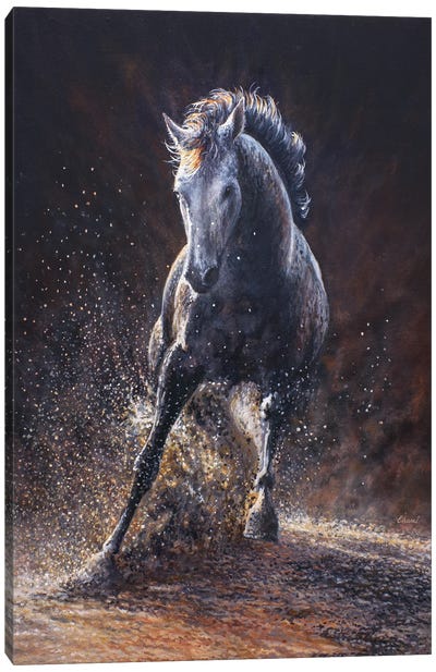 Freedom II Canvas Art Print - Horse Art