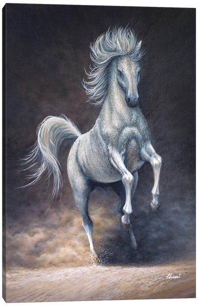 Freedom V Canvas Art Print - Horse Art