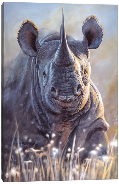 Disappearing I Canvas Art Print - Rhinoceros Art