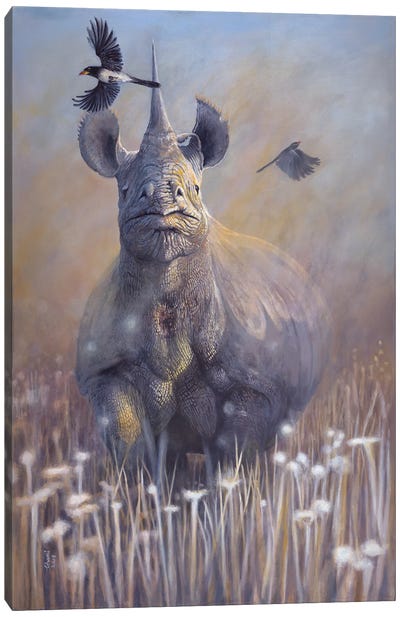 Disappearing II Canvas Art Print - Rhinoceros Art