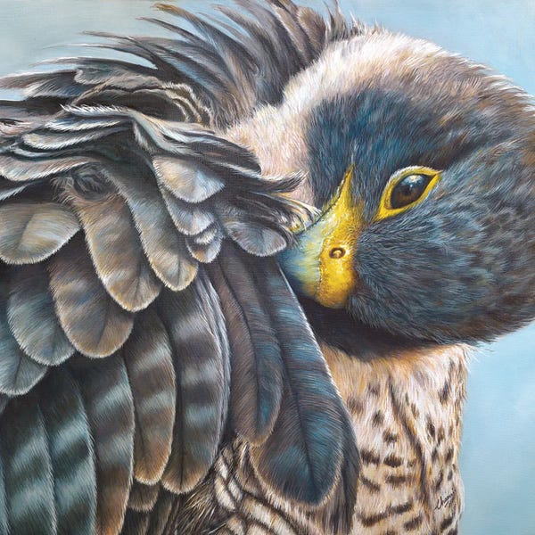 Feathers: Ruffled II by Chami's Art