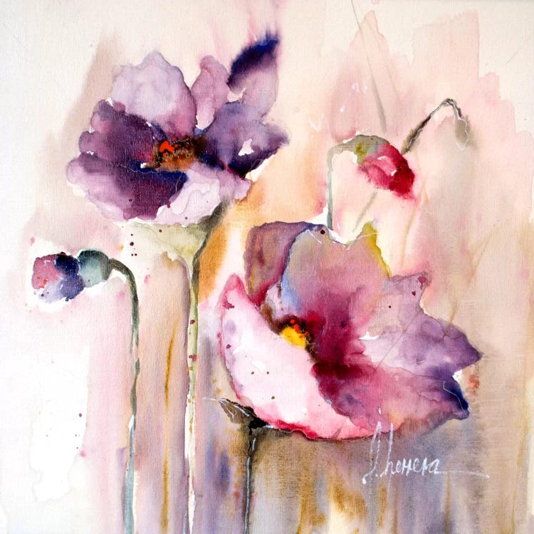 Plum Poppies I by Leticia Herrera wall art