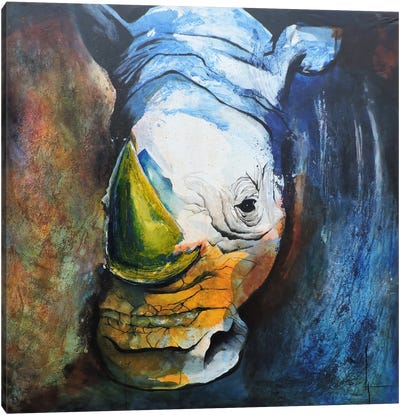 Rhino Canvas Art Print - Leticia Herrera