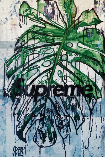 Supreme: Greenery by Cicero Spin
