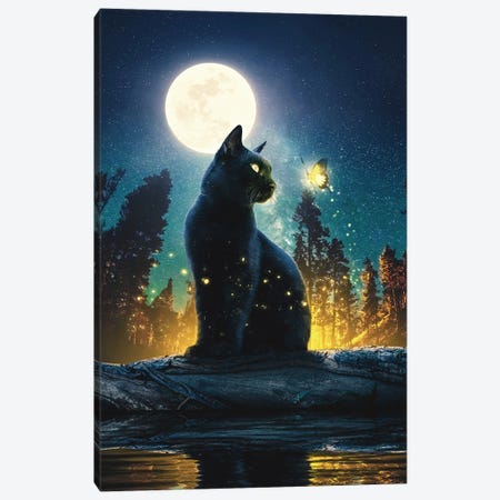 Black Cat In The Magical Forest Canvas Print #CID10} by Adam Cousins Canvas Artwork