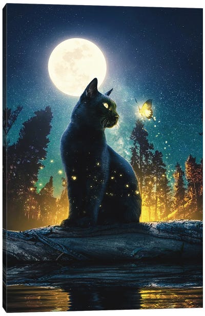 Black Cat In The Magical Forest Canvas Art Print - Night Sky Art