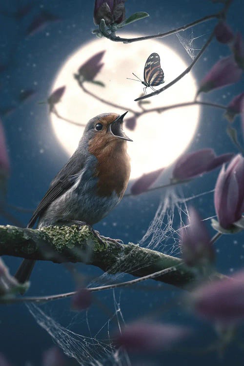 Butterfly And Robin by Adam Cousins wall art