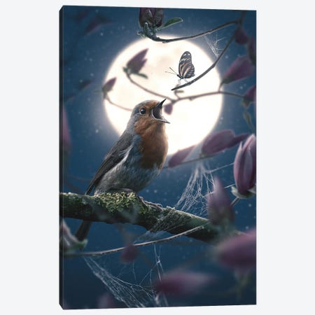 Butterfly And Robin Canvas Print #CID11} by Adam Cousins Canvas Artwork