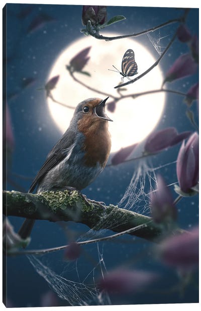 Butterfly And Robin Canvas Art Print - Robin Art