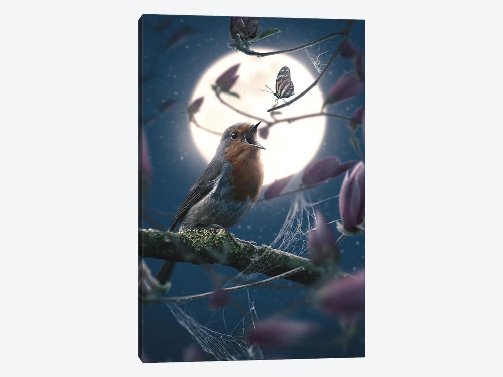 Butterfly And Robin by Adam Cousins 1-piece Canvas Art Print