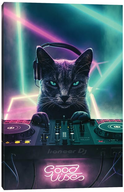 Cat DJ Canvas Art Print - Vinyl Records