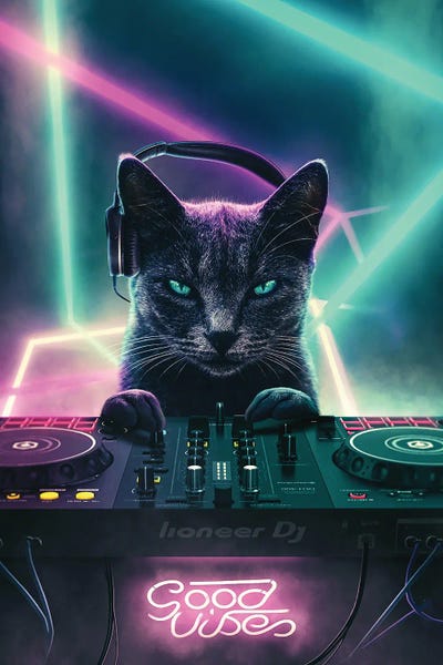 Adam Cousins: Cat DJ by Adam Cousins