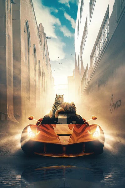 Ferrari: Copy Cat by Adam Cousins