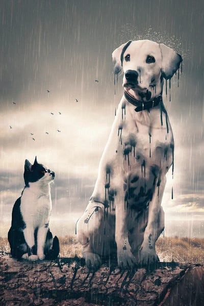 Dalmatians: Drip by Adam Cousins