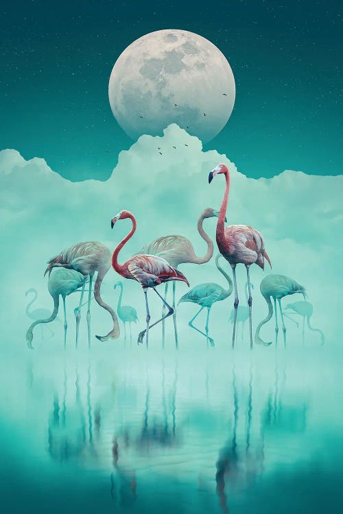 Flamingos In The Mist