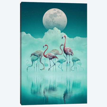 Flamingos In The Mist Canvas Print #CID17} by Adam Cousins Canvas Art Print