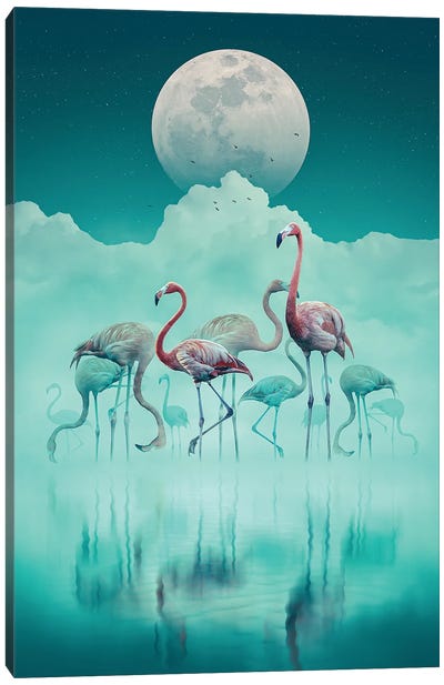 Flamingos In The Mist Canvas Art Print - Adam Cousins