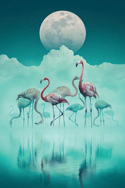 Mist & Fog: Flamingos In The Mist by Adam Cousins