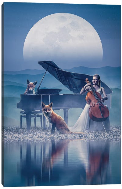 Fox Orchestra Canvas Art Print - Cello Art