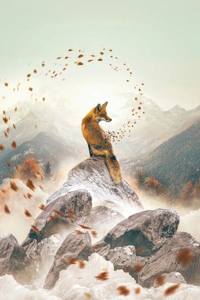 Autumnal Fox by Adam Cousins gallery poster