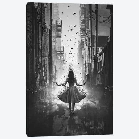 Fly Away Black And White Canvas Print #CID20} by Adam Cousins Canvas Print
