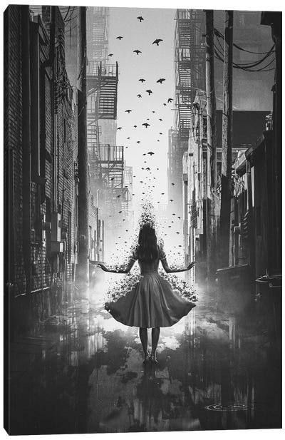 Fly Away Black And White Canvas Art Print - Adam Cousins