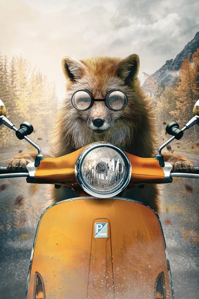 Scooters: Fox With Moped by Adam Cousins