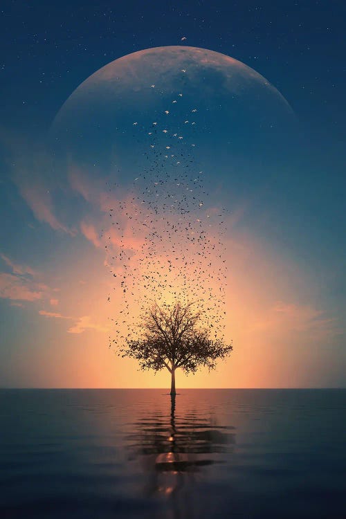 Free Birds by Adam Cousins wall art