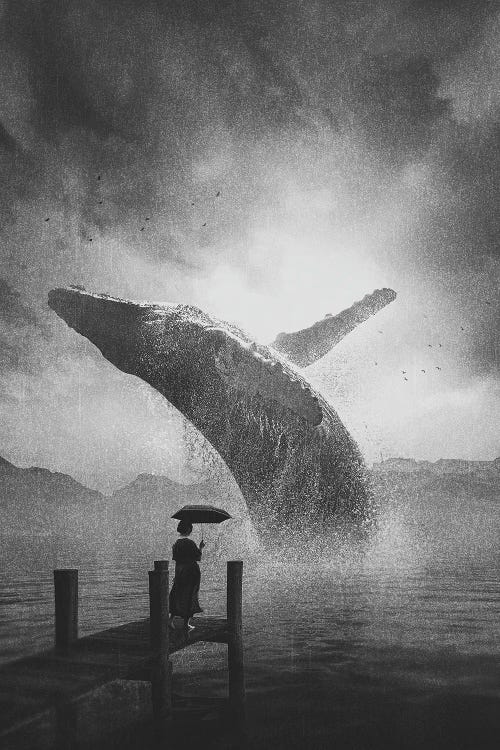 Giant Whale Black And White by Adam Cousins wall art