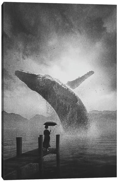 Giant Whale Black And White Canvas Art Print - Adam Cousins