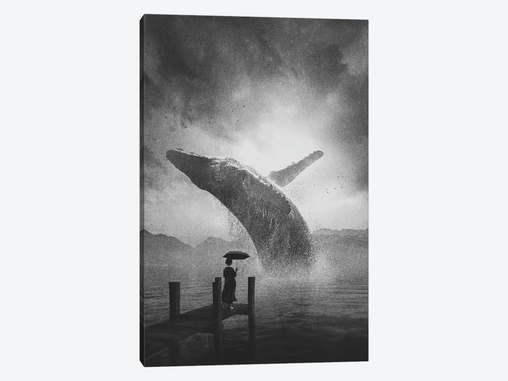 Giant Whale Black And White by Adam Cousins 1-piece Canvas Art