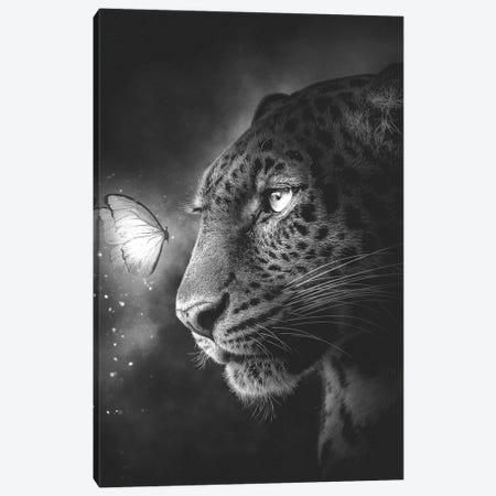 Jaguar And Butterfly Black And White Canvas Print #CID31} by Adam Cousins Canvas Art