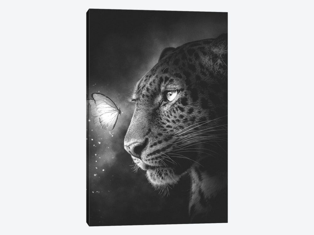 Jaguar And Butterfly Black And White by Adam Cousins 1-piece Canvas Art Print