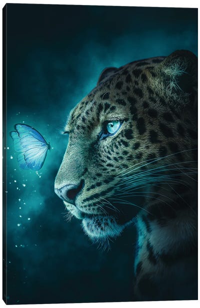 Jaguar And Butterfly Canvas Art Print - Adam Cousins