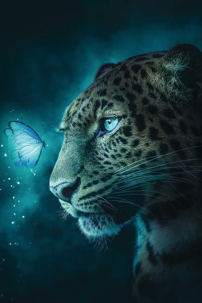 Jaguars: Jaguar And Butterfly by Adam Cousins