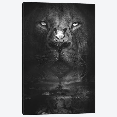Lion And Butterfly Black And White Canvas Print #CID33} by Adam Cousins Canvas Art