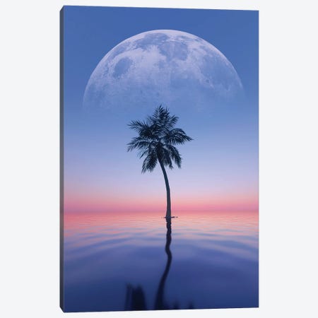 Lone Palm Tree Canvas Print #CID35} by Adam Cousins Canvas Print