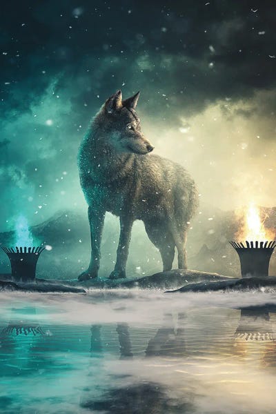 Wolves: Lone Wolf by Adam Cousins
