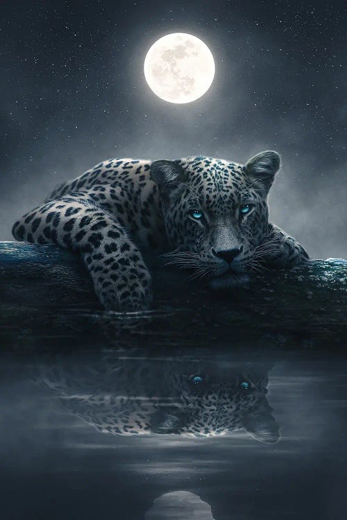 Moonlit Jaguar