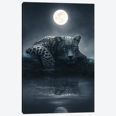 Moonlit Jaguar Canvas Print #CID37} by Adam Cousins Canvas Print