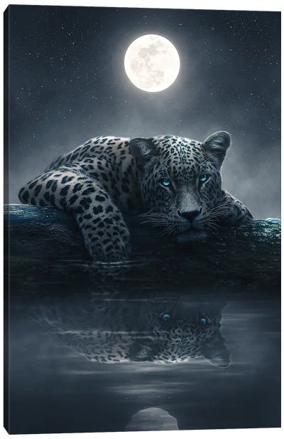 Moonlit Jaguar Canvas Art Print - Adam Cousins