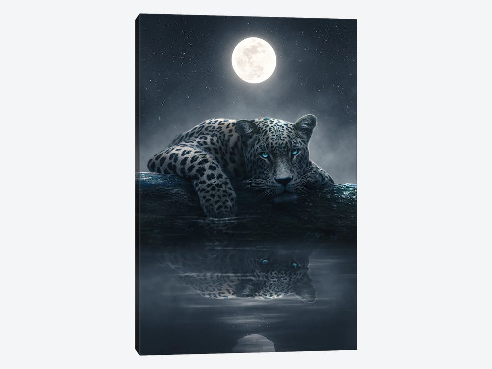 Moonlit Jaguar by Adam Cousins 1-piece Canvas Art Print