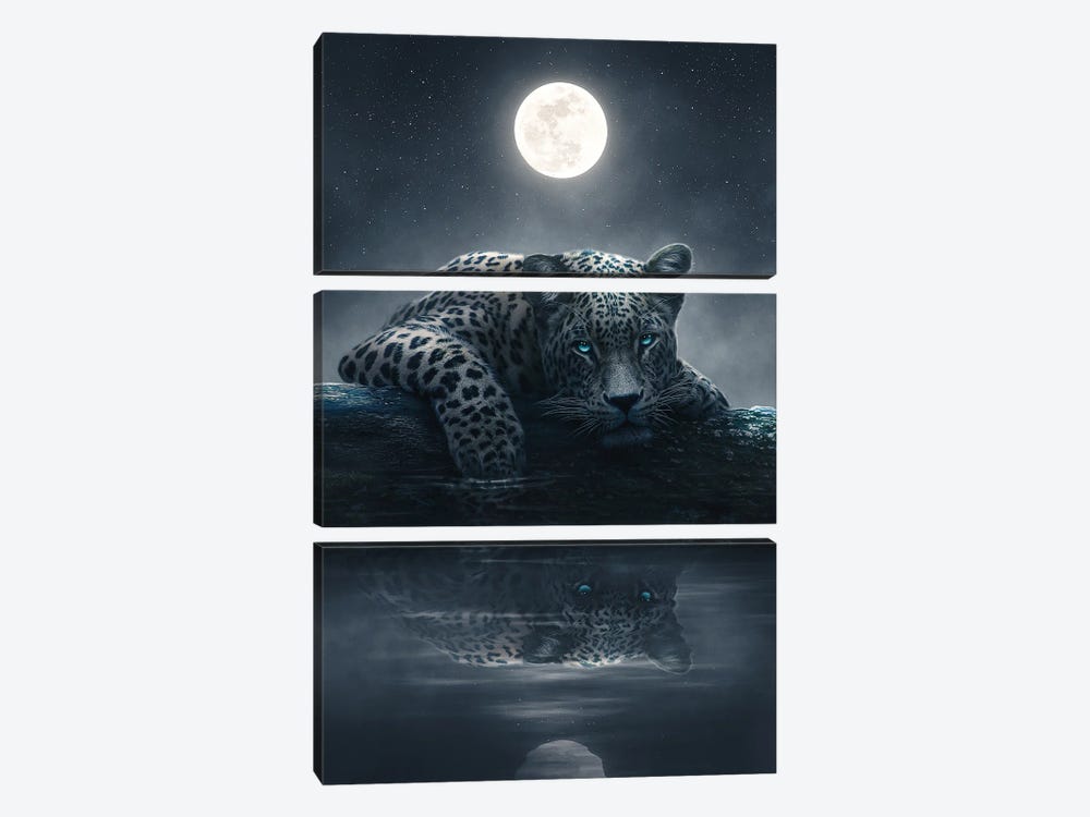 Moonlit Jaguar by Adam Cousins 3-piece Art Print