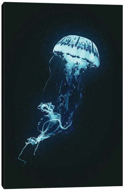 Neon Jellyfish (Blue) Canvas Art Print - Adam Cousins