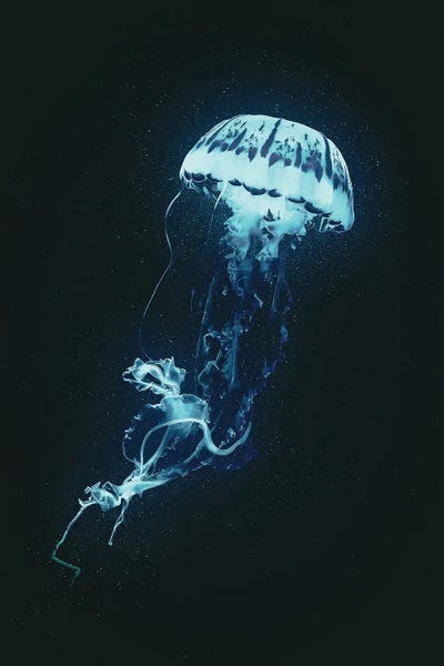 Kids Ocean Life Art: Neon Jellyfish (Blue) by Adam Cousins
