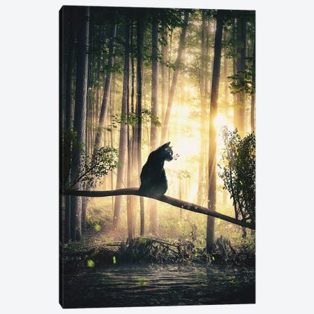 Back Cat In Forest Canvas Print #CID3} by Adam Cousins Canvas Wall Art