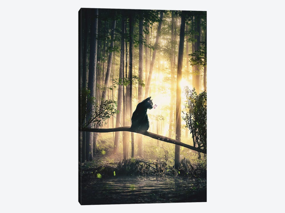 Back Cat In Forest by Adam Cousins 1-piece Canvas Art
