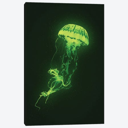 Neon Jellyfish (Green) Canvas Print #CID40} by Adam Cousins Canvas Print
