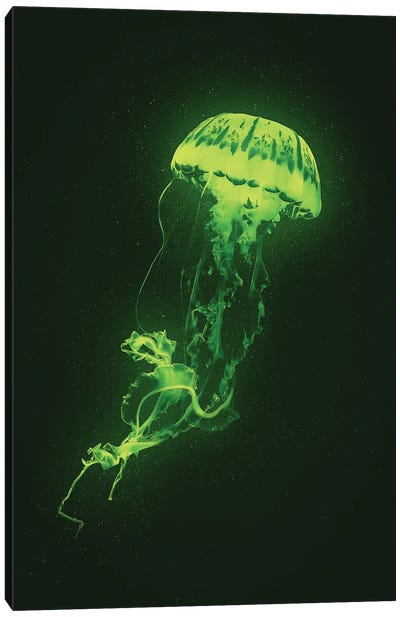 Neon Jellyfish (Green) Canvas Art Print - Jellyfish Art