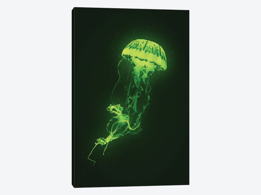 Neon Jellyfish (Green) by Adam Cousins 1-piece Canvas Art Print